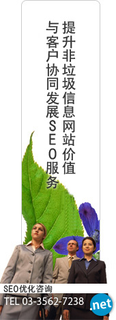 与志在提升非垃圾信息网站价值的客户协同发展SEO対策 SEO优化服务