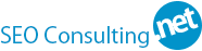 SEO consulting